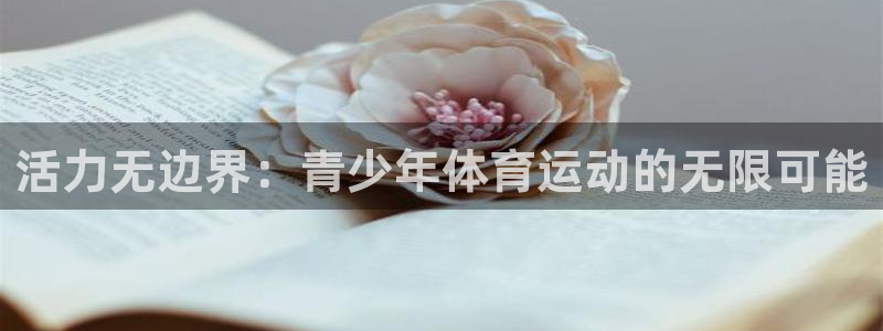 必一运动体育官网入口