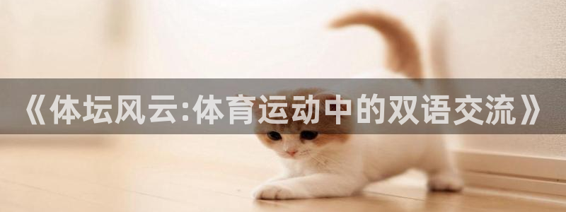 必一运动bsport体育