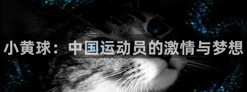 必一运动bsport体育