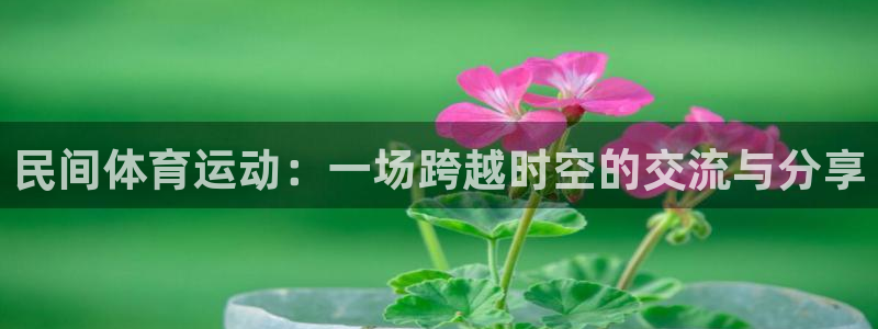 bsports必一运动：民间体育运动：一场跨越时空的交流与分享