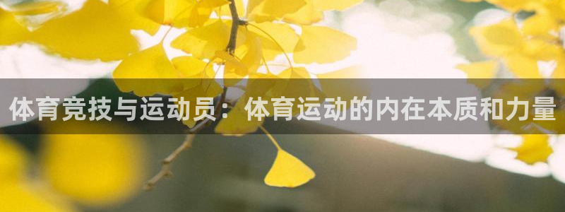 bsports官网 必一运动