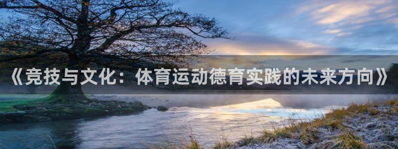 必一运动体育：《竞技与文化：体育运动德育实践的未来方向》