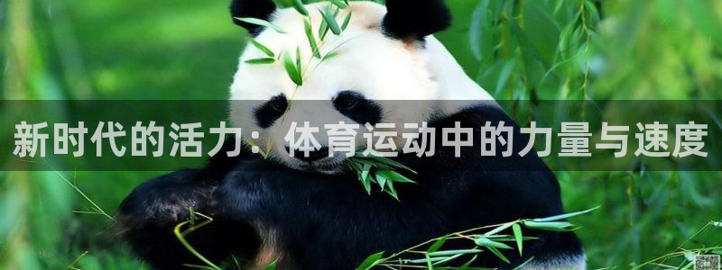 必一运动bsport体育：新时代的活力：体育运动中的力量与速度