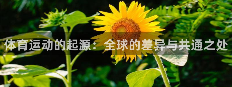 必一运动官网入口：体育运动的起源：全球的差异与共通之处