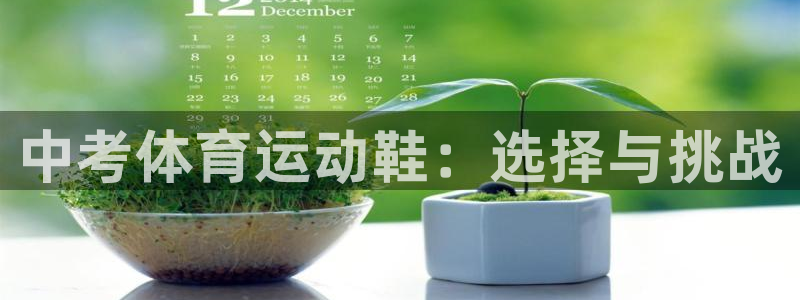 必一运动app