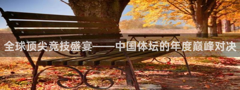 bsports必一运动：全球顶尖竞技盛宴——中国体坛的年度巅峰对决